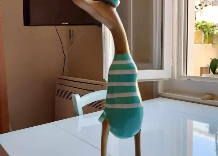 Appartement Arcachon Apartment Arcachon